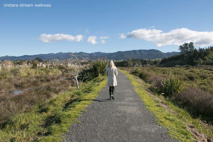 21 Riverside Place Katikati_1