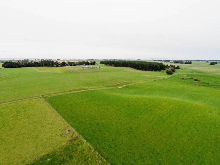 591 Wanganui Road Marton_8