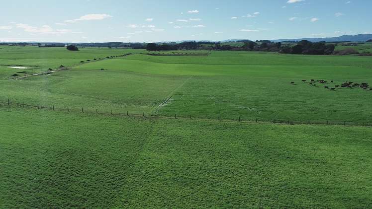 325 Reid Line East Bunnythorpe_13
