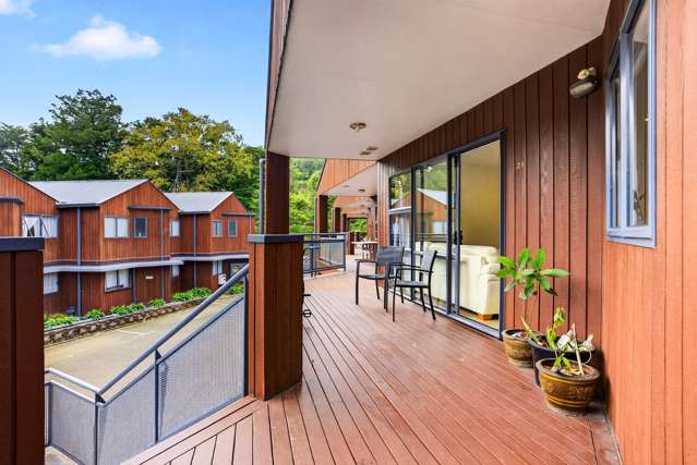 23/3 The Avenue Albany_2