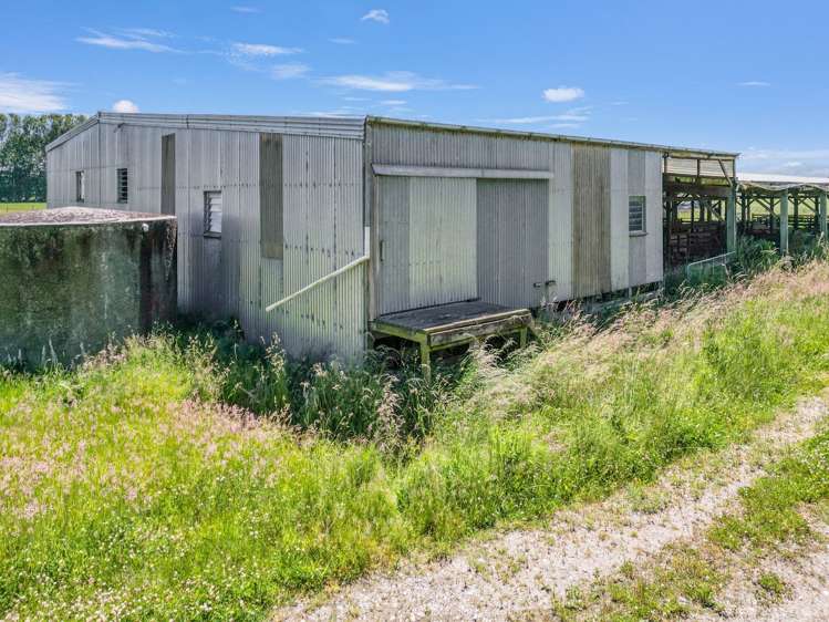 Pyramid Waiparu Road Riversdale_10