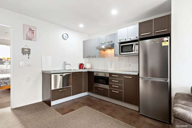 100b Michael Jones Drive Flat Bush_2