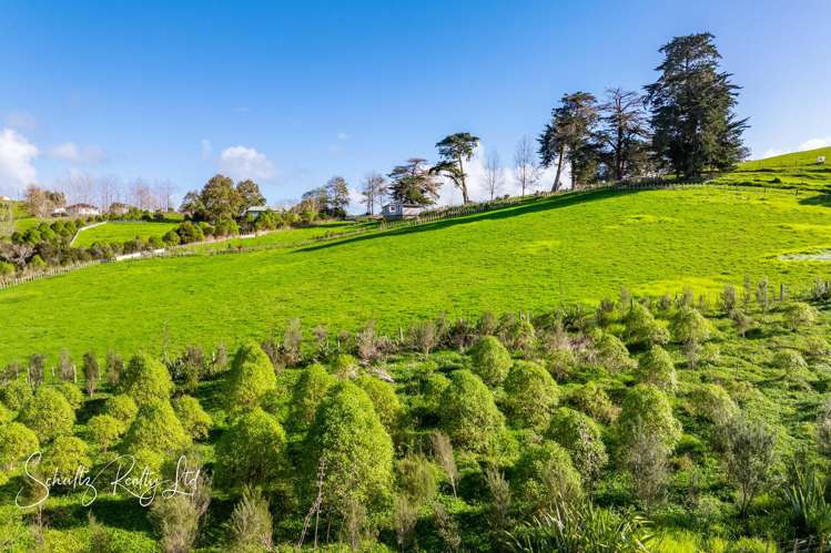 Petley Road Paparoa_15