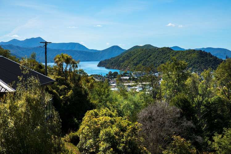 27a Dorset Street Picton_10