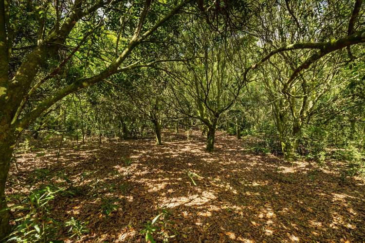 Lot 4 Horeke Road Okaihau_18