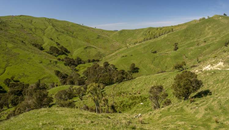 7 Hikawera Road Hinakura_5