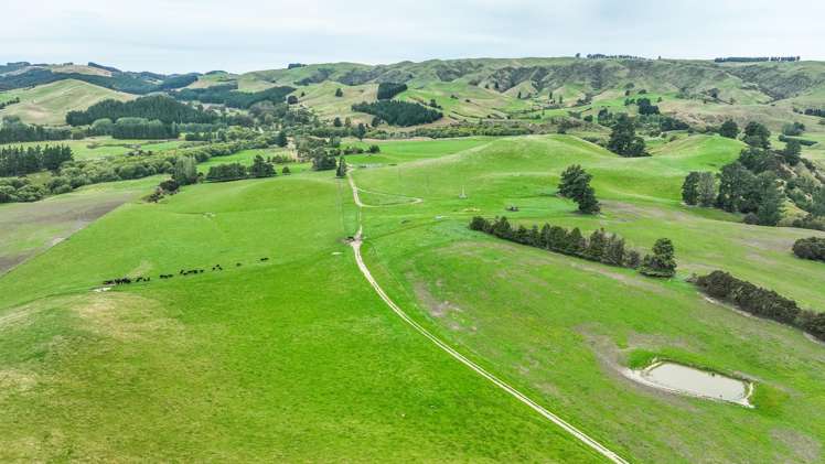 48 Heathfield Road Greta Valley_11