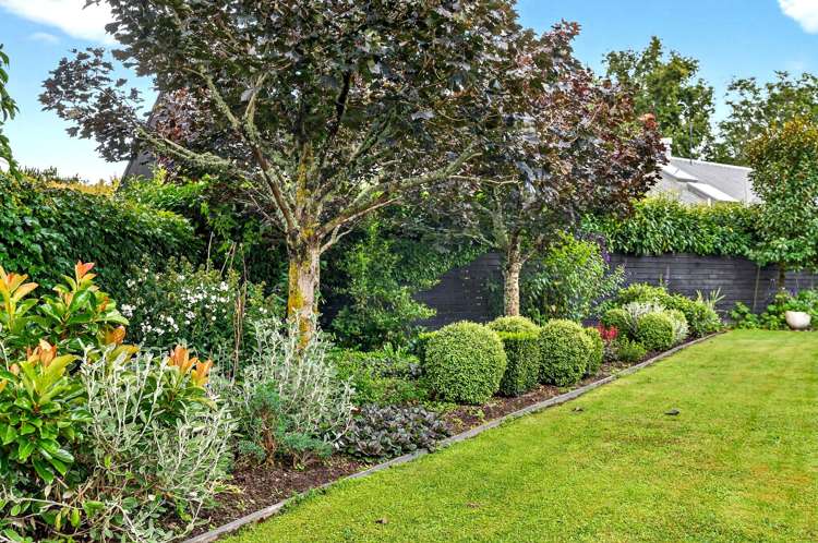 59 Wood Street Greytown_30