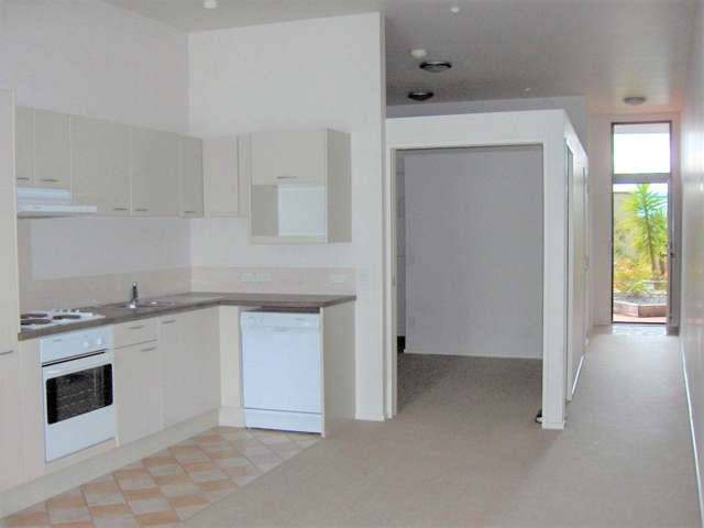 3g/6 Burgoyne Street Grey Lynn_2