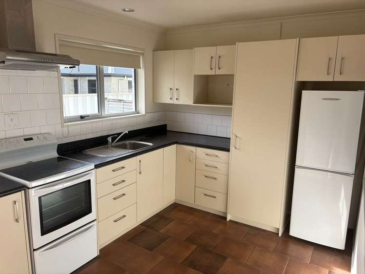 2B Bunny Street Masterton_2