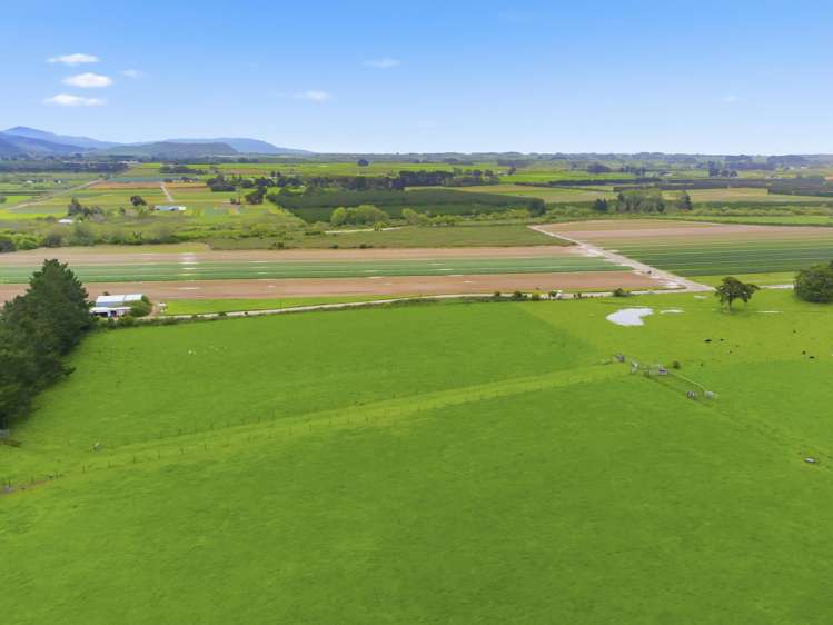 81 Muhunoa West Road Ohau_18