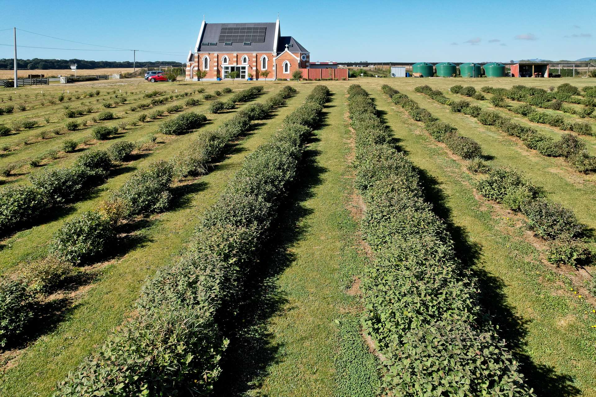 1686 Waimate Highway Makikihi_0