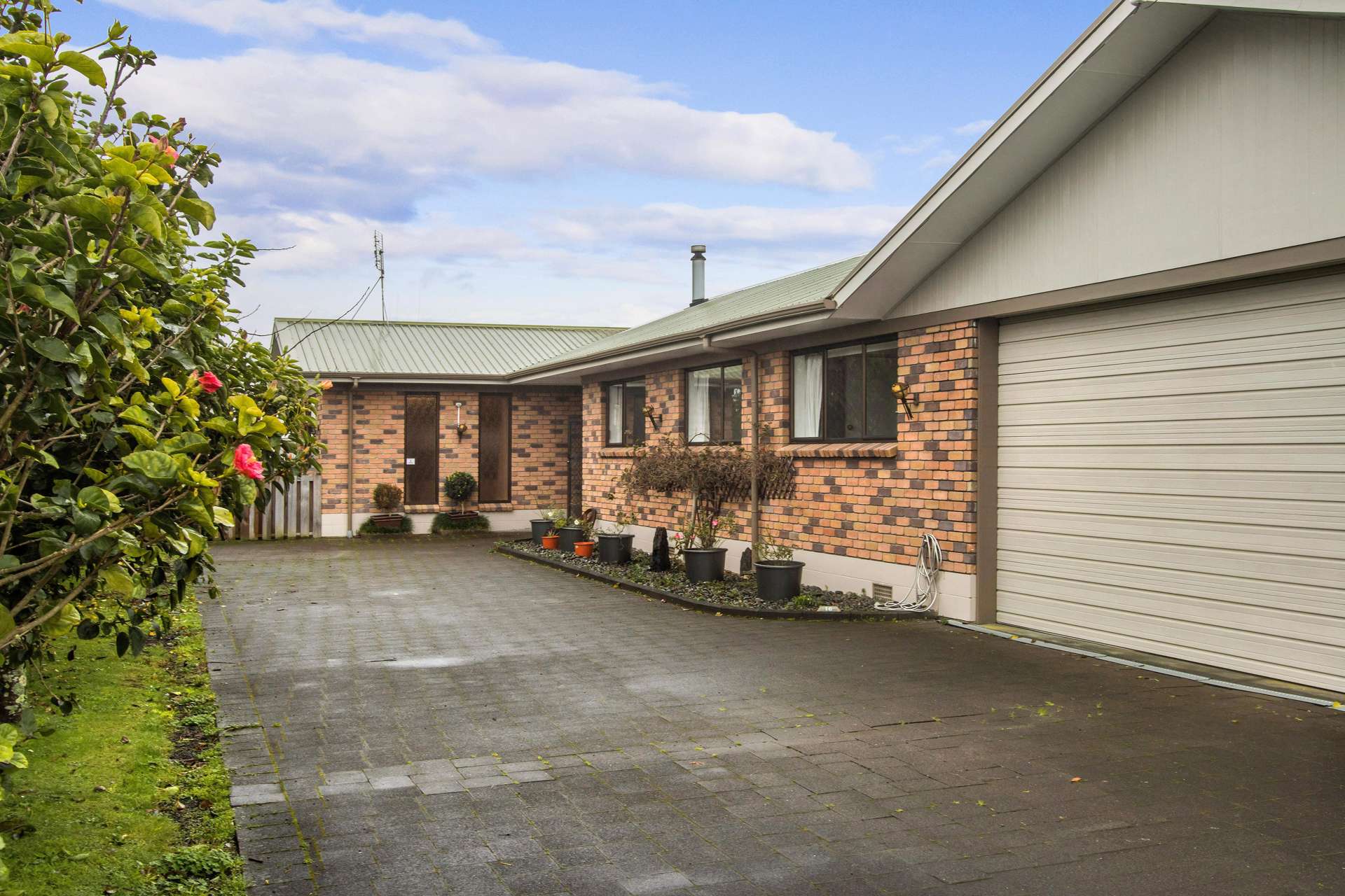 16 Jocelyn Street Katikati_0