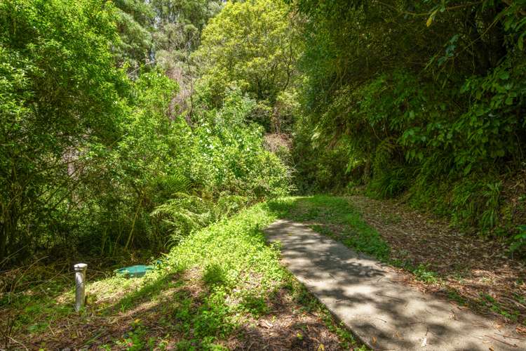 1160 Wakamarina Road Havelock_20