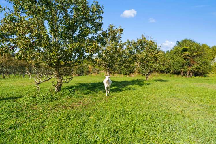 1658 Oropi Road Oropi_33