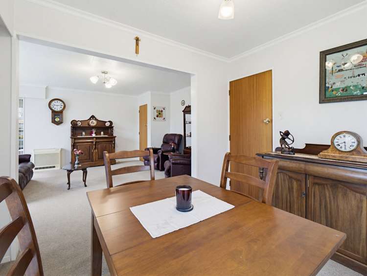 45 Dittmer Drive Awapuni_8