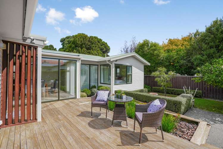 36a Britannia Street Petone_2