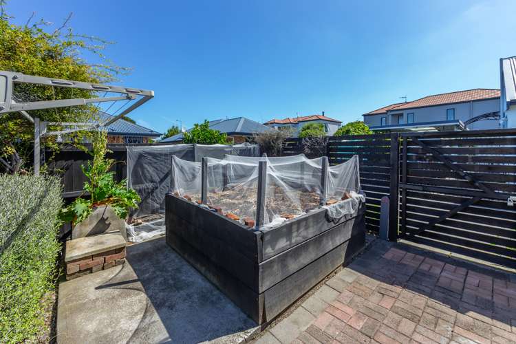 24 Macaulay Street Addington_21