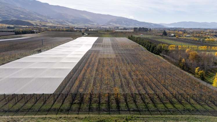 Smiths Way Cromwell_13