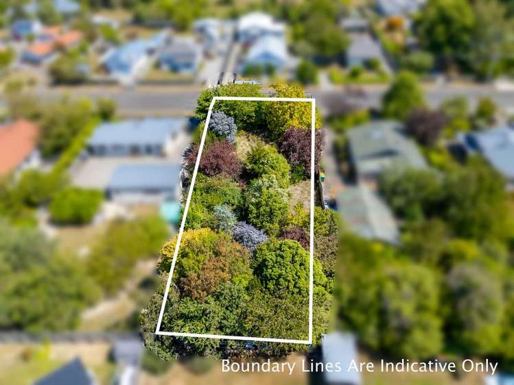 26 Philip Street Carterton_5