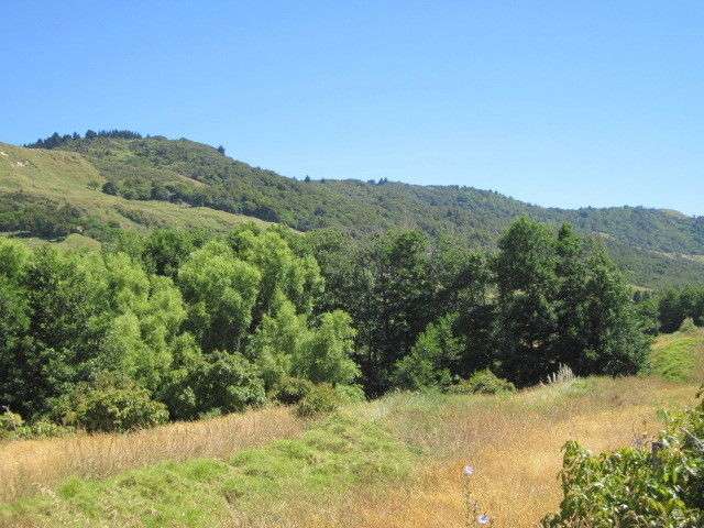 2 Blakes Approach Mahia_4