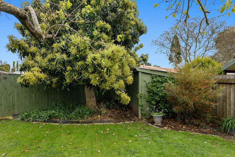 15 Martin Place Whakatane_19