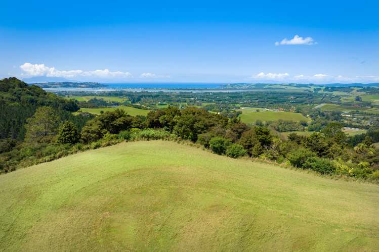 68B Ward Road Matakana_8