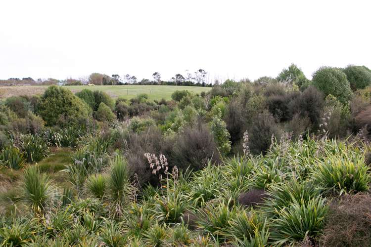 21 Colquhoun Way Kelvin Grove_13