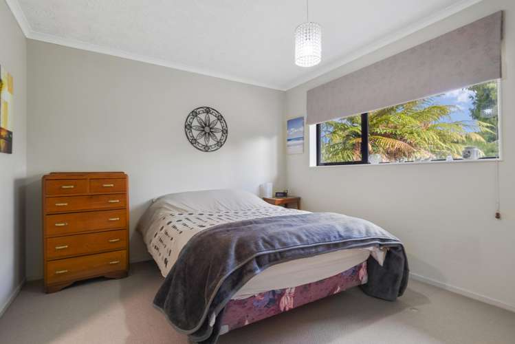 3 Taiporutu Place Springfield_9