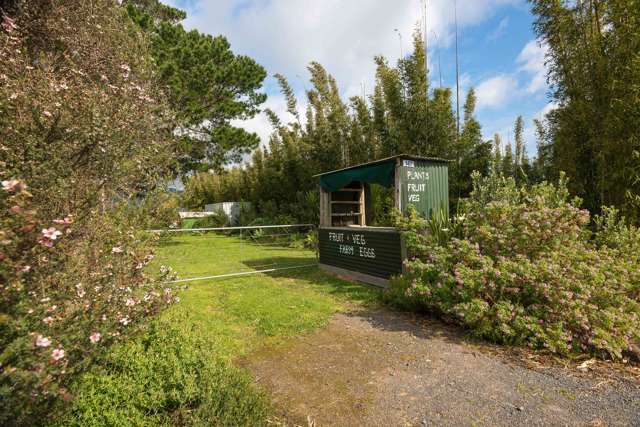 587 Koutu Loop Road Opononi_3