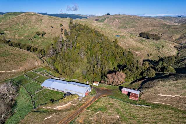 424 Daggs Road Bideford_1