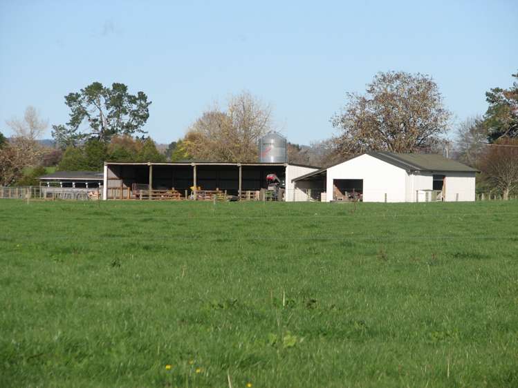 240 Bayly Road South Waikato_16