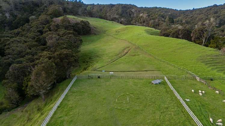 719 Waikare Road Kawakawa_6