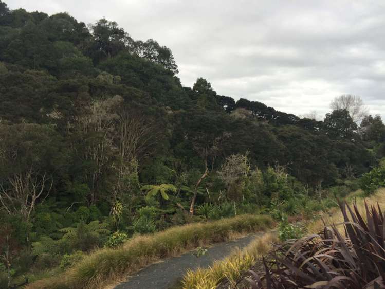 60/5 Perekia Street Albany_8