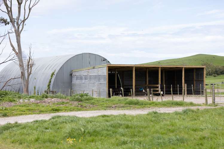 220 Blong Road Ruawai_18