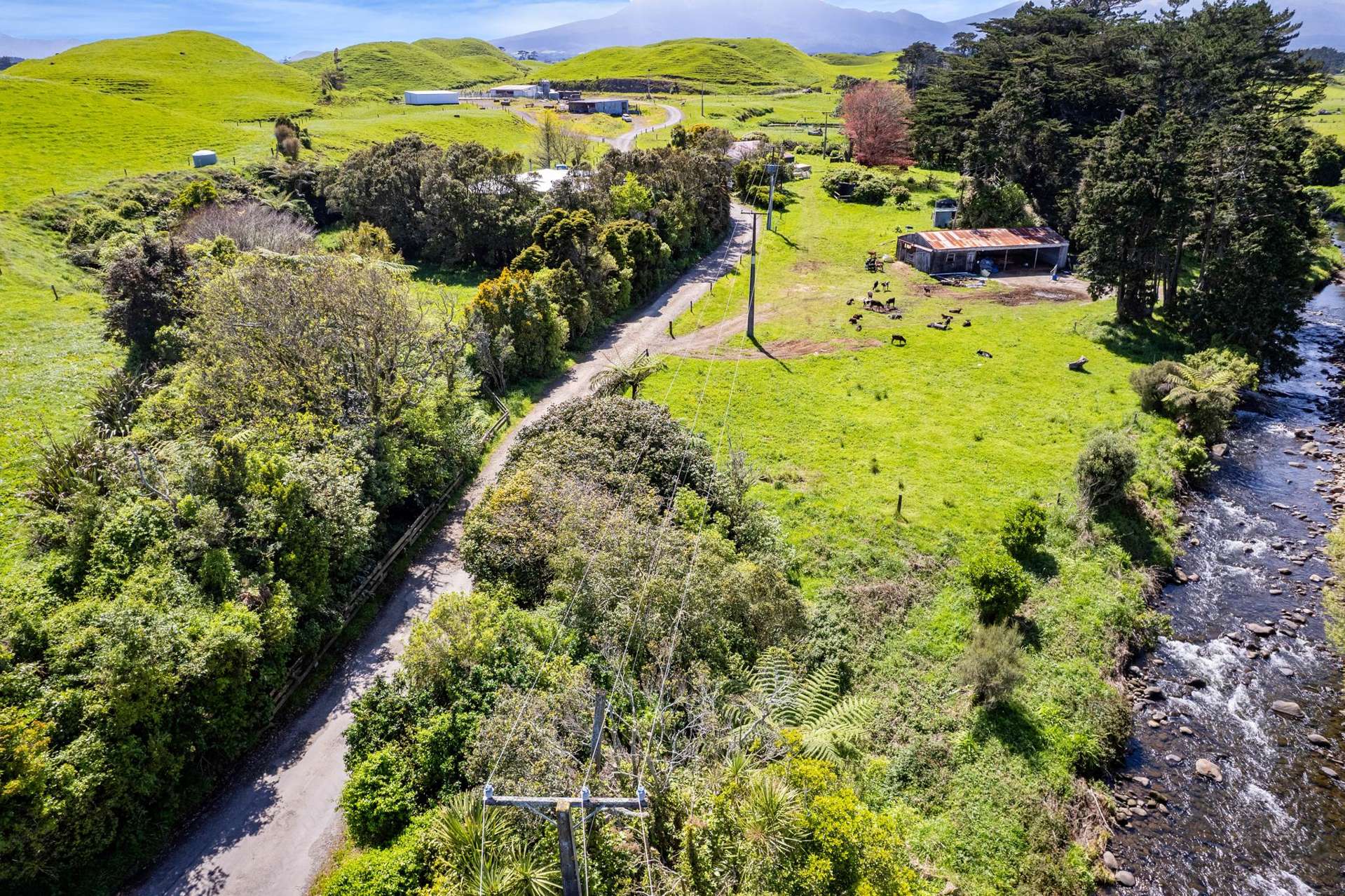 523/593 Warea Road Warea_0