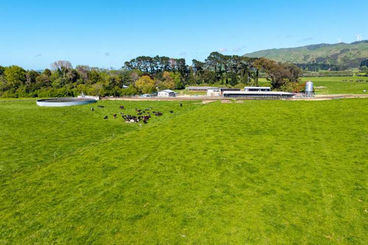 829 Ballance Valley Road Pahiatua_8