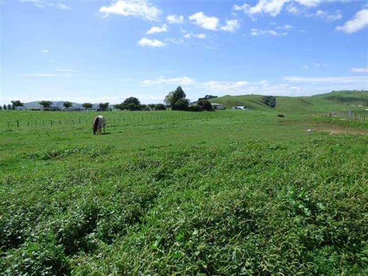 453 Mangaorongo Road Otorohanga_15