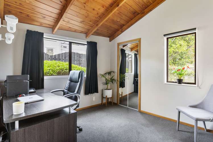 12a Alberton Avenue Mount Albert_6