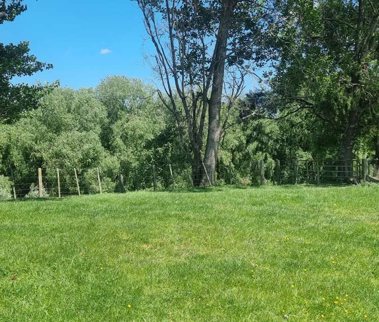 9 Buckley Road Shannon_8