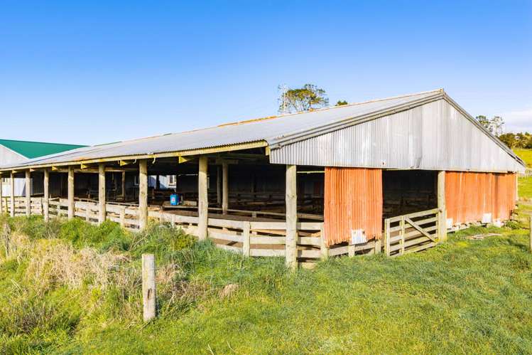 80 Harrison Road Waiotira_12