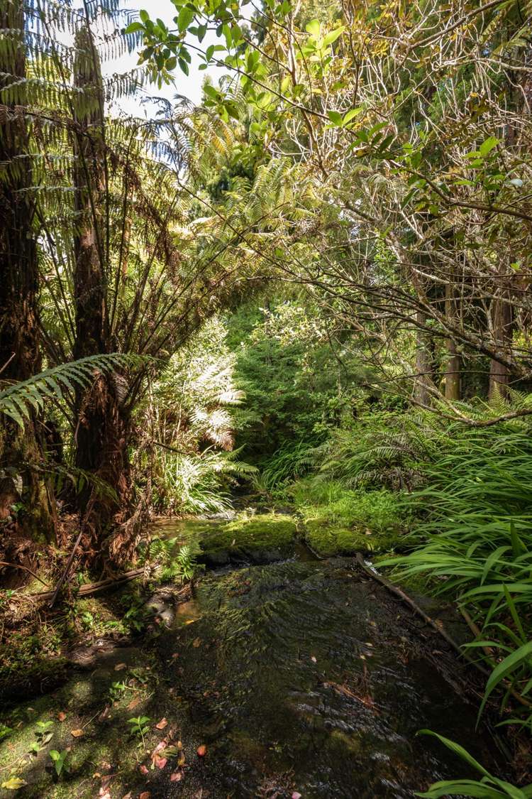 60 Victoria Street Waikino_41