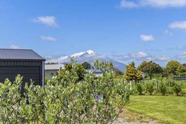 205 Mid Puniho Road_3