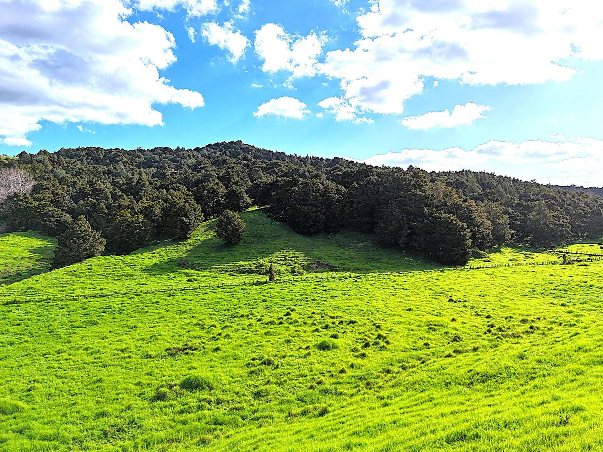 Ounuwhao Road Dargaville_0