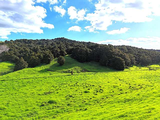 Natural Beauty Plus Land