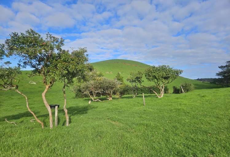 2299 State Highway 1 Waiharara_19