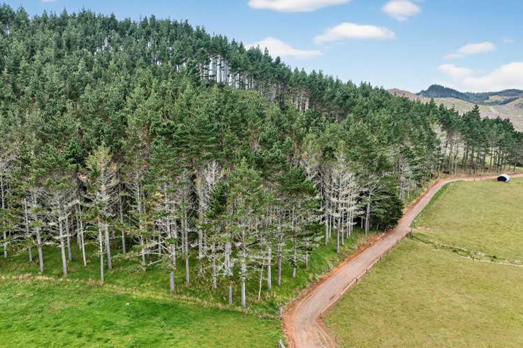 84 Adams Road Whareora_7