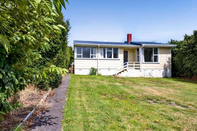 Great rental Investment with options