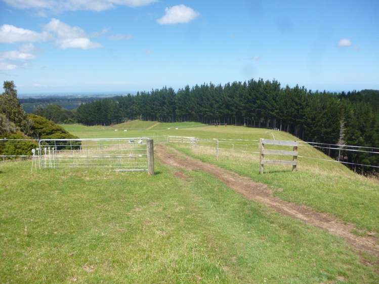 258 Okahutiria Road Waverley_20