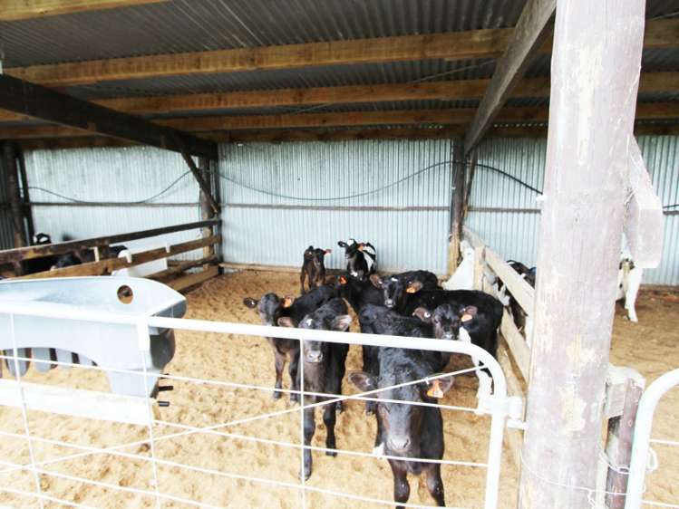 418 Scarborough Road Pahiatua_6